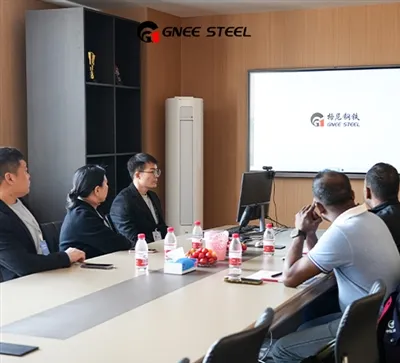 Chào mừng khách hàng Ai Cập đến với GNEE STEEL